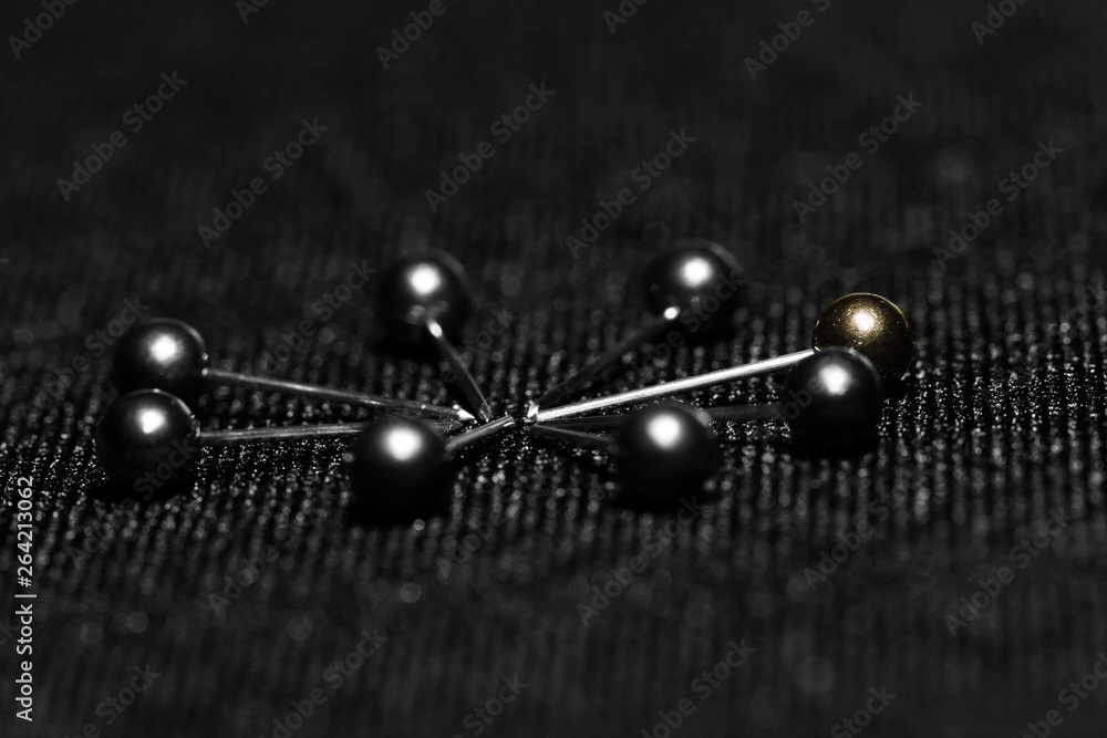 Obraz premium Black pin