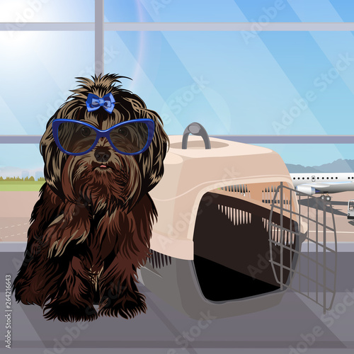 Airport waiting room, dog in the foreground. Terminal interior, panoramic window, airplane. Time to travel. Travel concept, vector illustration.