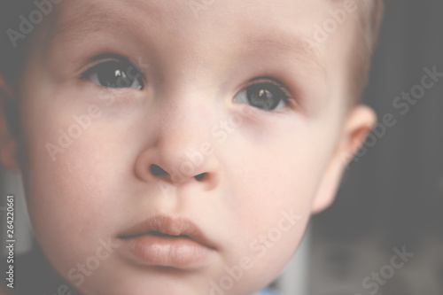 portrait of a little boy