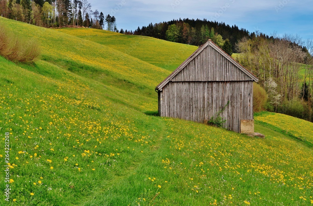 Obraz premium Scheune auf der Weide