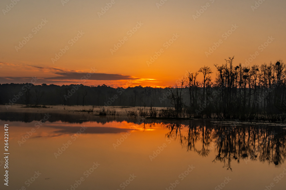 A Beautiful Morning Sunrise Landscape in South Carolina