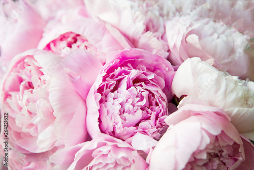 Fototapeta Naklejka Na Ścianę i Meble -  Pink peonies blossom background. Flowers.