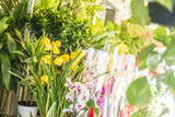 Fllower shop. Variety of ornamental plants. Colorful bouquets of flowers