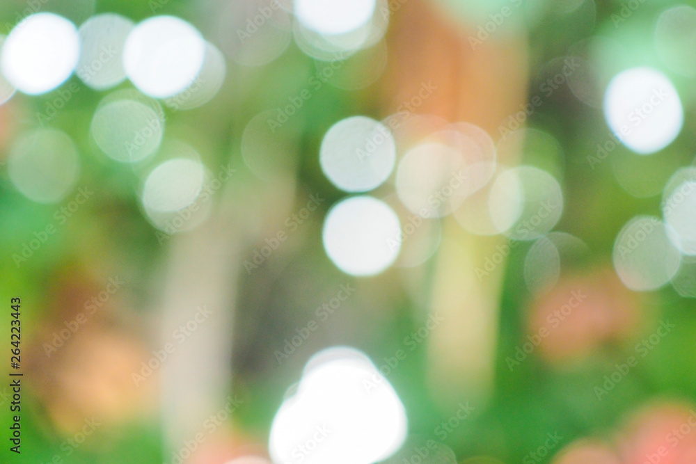 Obraz premium Abstract green bokeh background for nature decoration