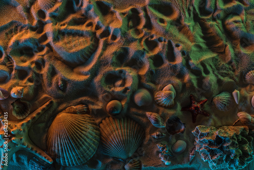 top view of  different seashells  starfish  corals and traces of them on sand with orange  green and blue lights