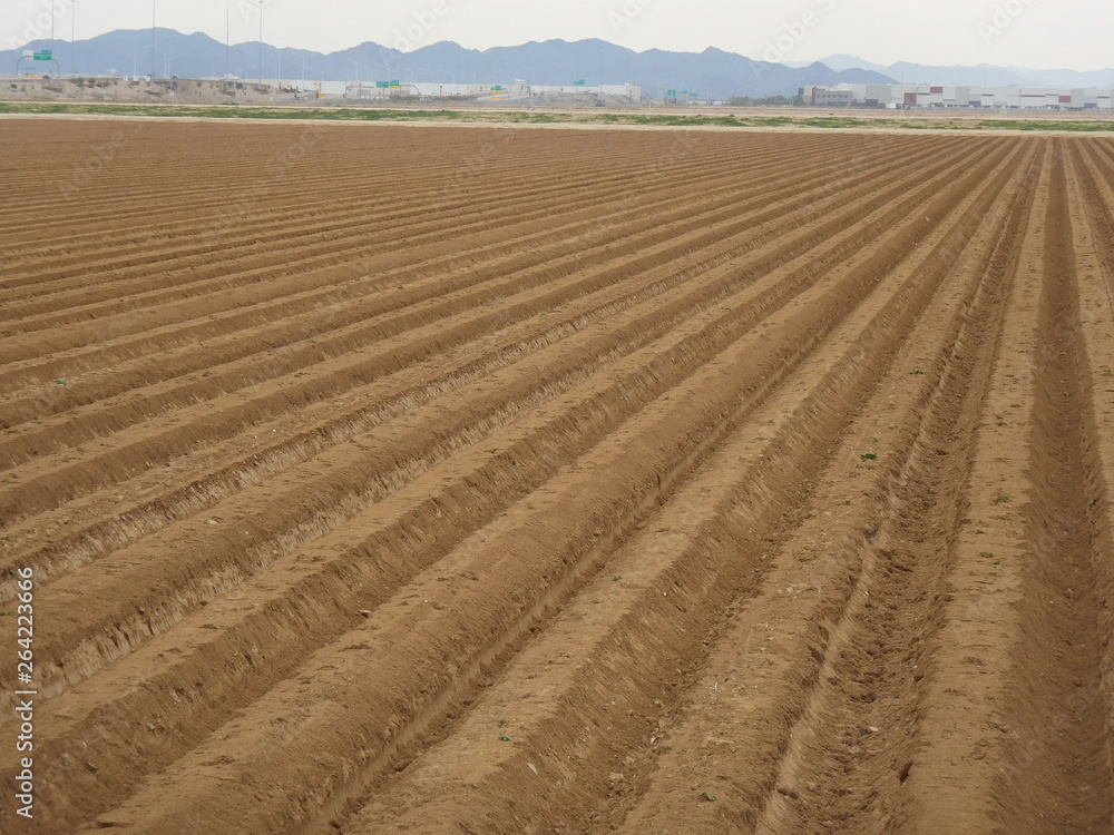 Arizona farm land ready for planting
