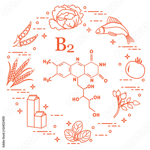 Foods rich in vitamin B2. Fish, peas and other.