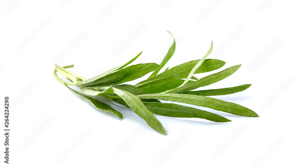 Fototapeta premium Tarragon leaves in closeup - Изображение