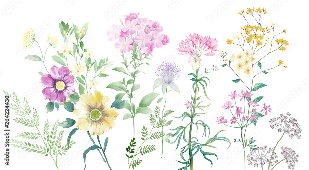 Watercolor set beautiful bouquets Watercolor set beautiful bouquets