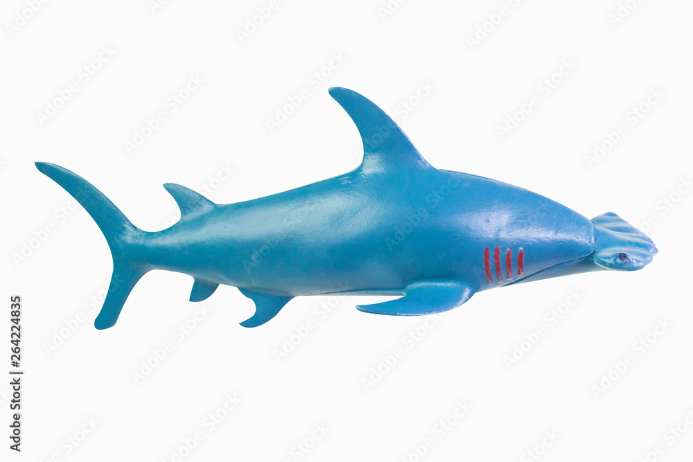 The  toy  Hammerhead shark isolated closeup image.