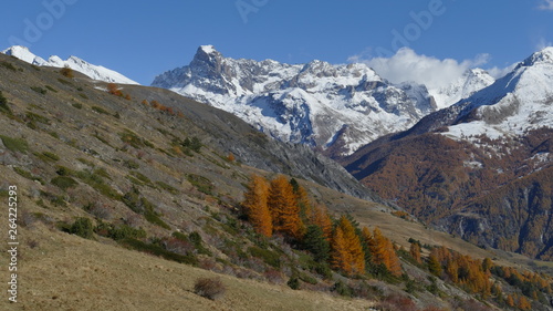 paysage d emontagne