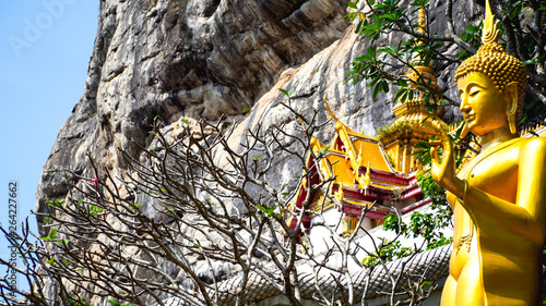 Golden Buddha Located by the mountains And the nearby area has a nearby monastery and tree.
