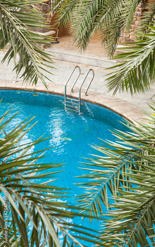 Swimming pools surrounded by palm trees and lush evergreen in a tropical plants garden © rodho