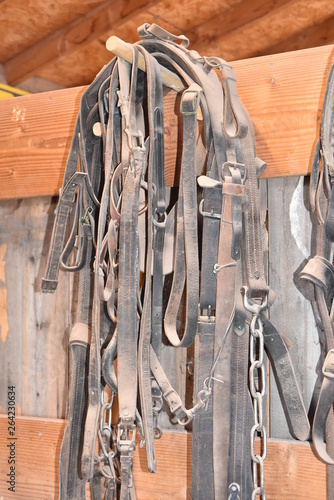 Fotografija Vintage horse tact and trappings