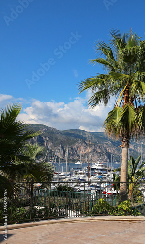 Wallpaper Mural French Riviera - Saint Jean Cap Ferrat harbour terrace Torontodigital.ca