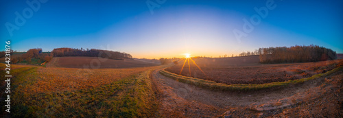 Early morning sunrise field panorama