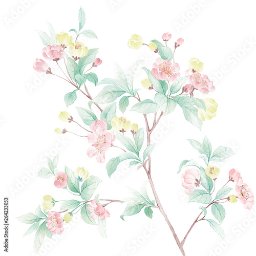 Colorful flower on white background,Mother's Day, wedding, birthday, Easter, Valentine's Day, Pastel colors