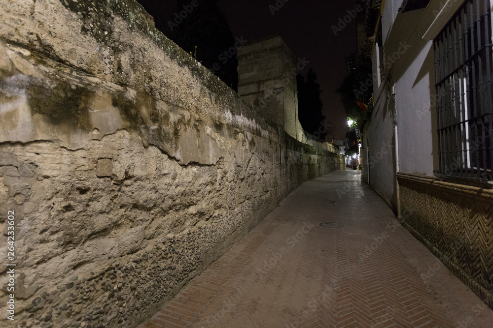 View of Seville City
