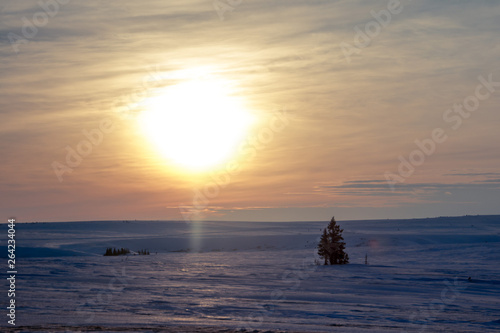 sunset in winter tundra, Russia, 2019