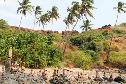 rock beach coconut tree