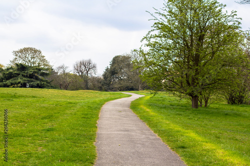 The trail in Greenwich Park, Path among green meadows and trees.