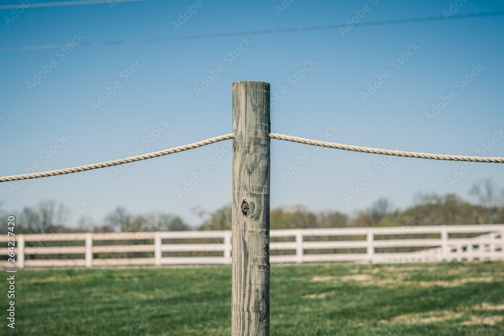 Rope and Post Fence with White Board Fence in Background Rope and Post Fence with White Board Fence in Background