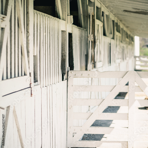 Row Stalls in an Outdoor Stable