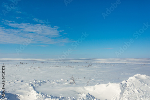 winter tundra, Russia, 2019
