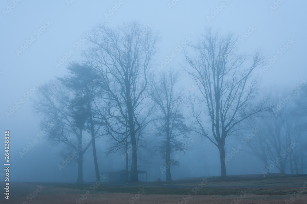 mist mist