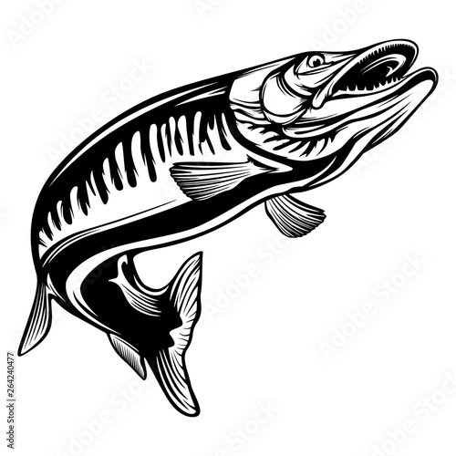 Pike fishing emblem shirt. Pike fish logo vector. Outdoor fishing background theme. Angry fish logo.
