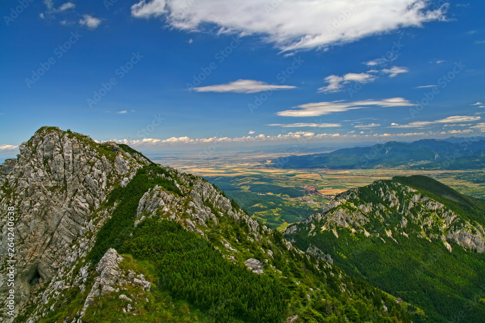 Summer landscape from mountain top