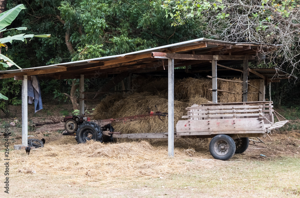 Fototapeta premium Traditional Thai farm truck.