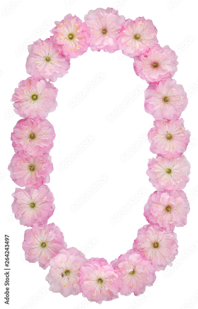 Numeral 0, zero, from natural pink flowers of almond tree, isolated on white background
