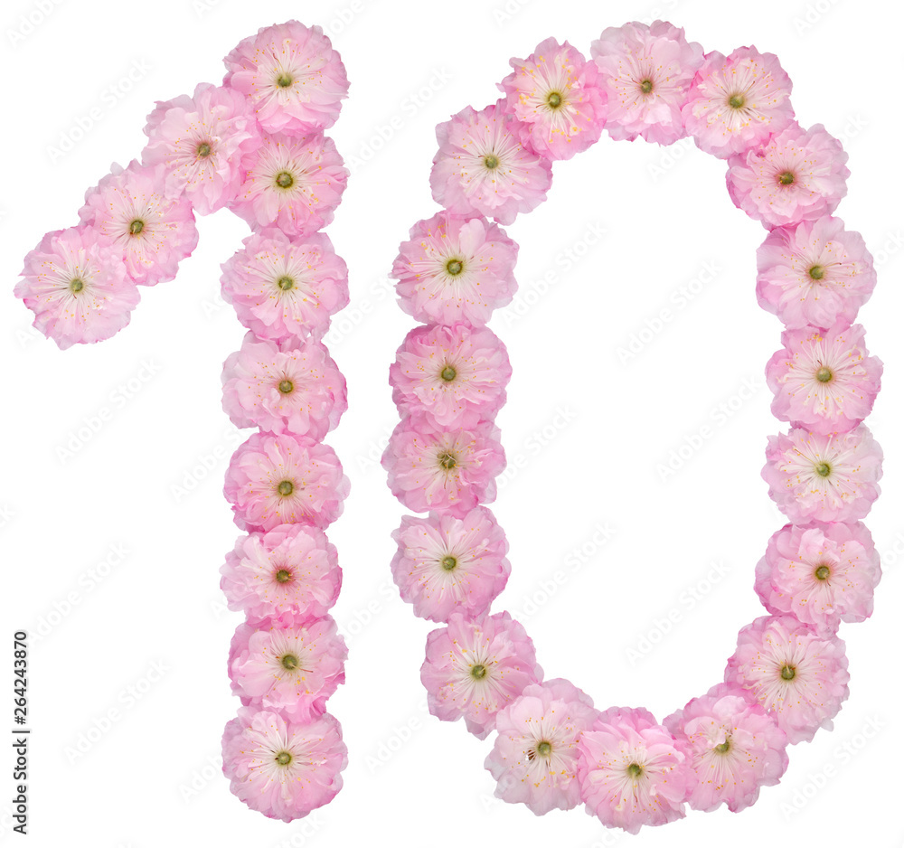 Numeral 10, ten, from natural pink flowers of almond tree, isolated on white background
