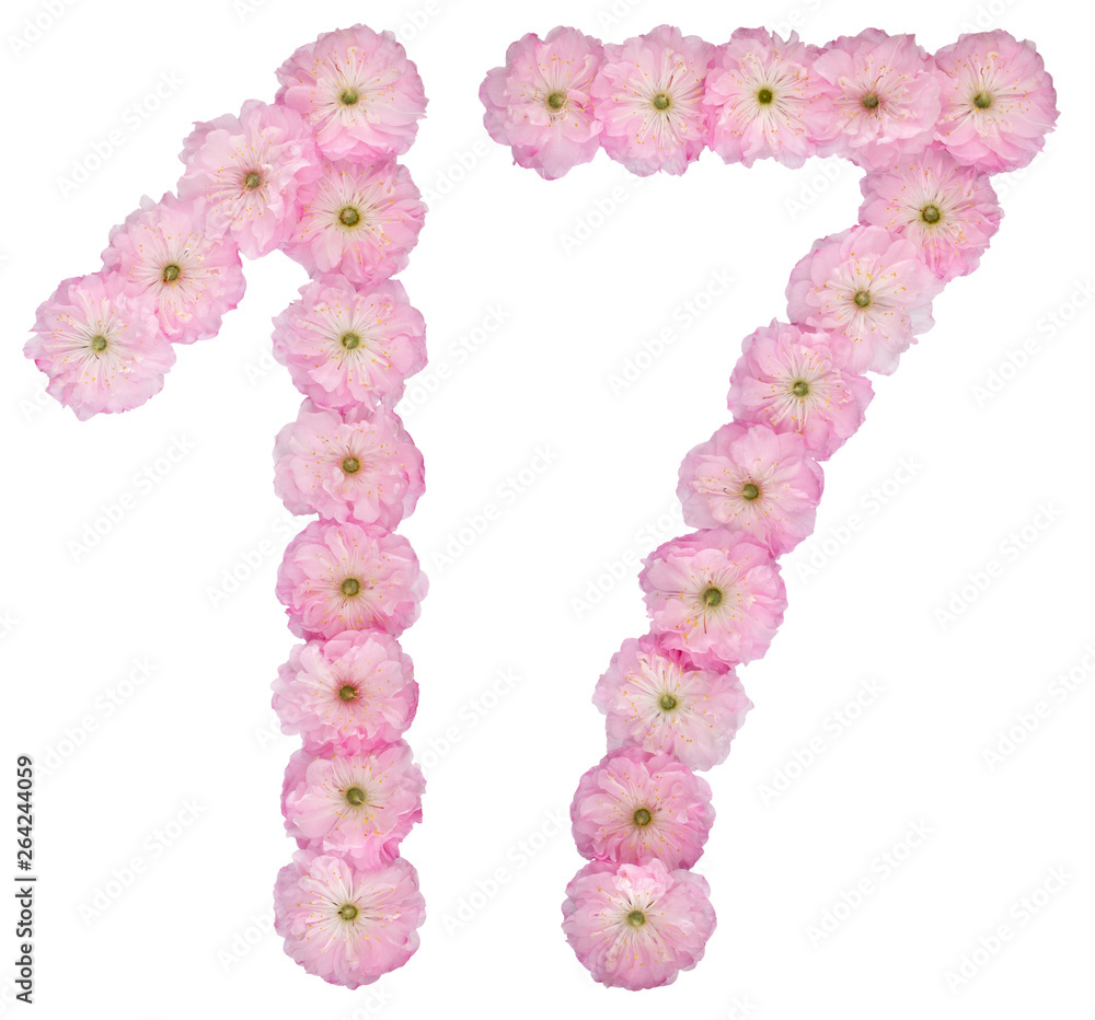 Numeral 17, seventeen, from natural pink flowers of almond tree, isolated on white background