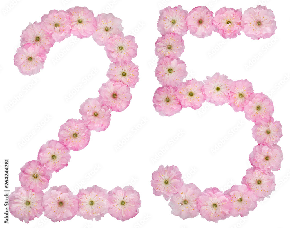 Numeral 25, twenty five, from natural pink flowers of almond tree, isolated on white background