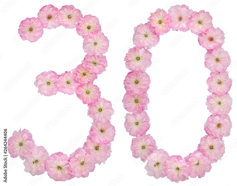 Numeral 30, thirty, from natural pink flowers of almond tree, isolated on white background