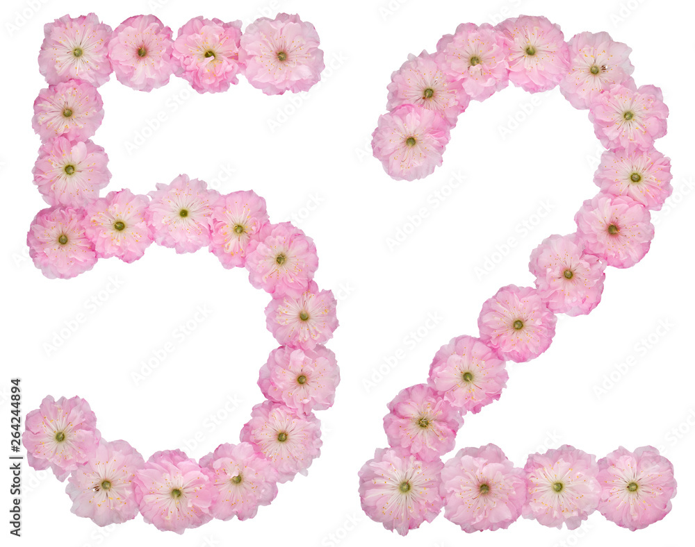 Numeral 52, fifty two, from natural pink flowers of almond tree, isolated on white background