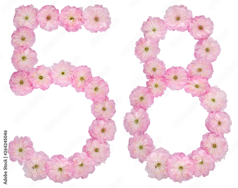 Numeral 58, fifty eight, from natural pink flowers of almond tree, isolated on white background