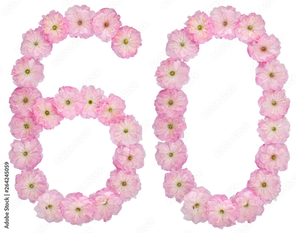 Numeral 60, sixty, from natural pink flowers of almond tree, isolated on white background