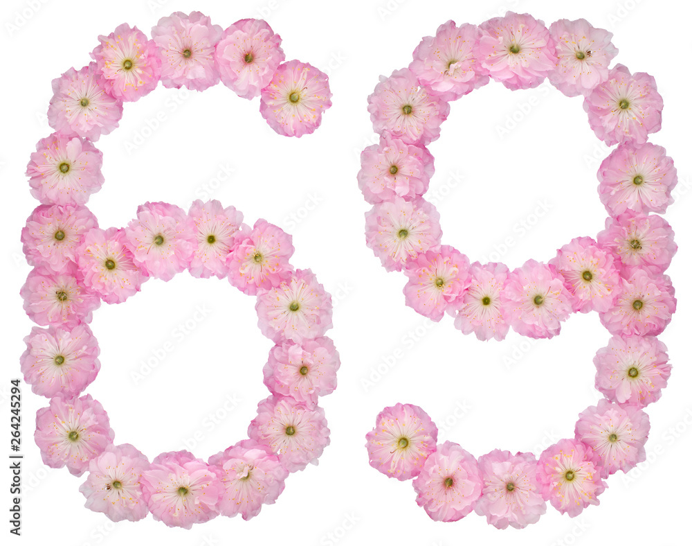 Numeral 69, sixty nine, from natural pink flowers of almond tree, isolated on white background