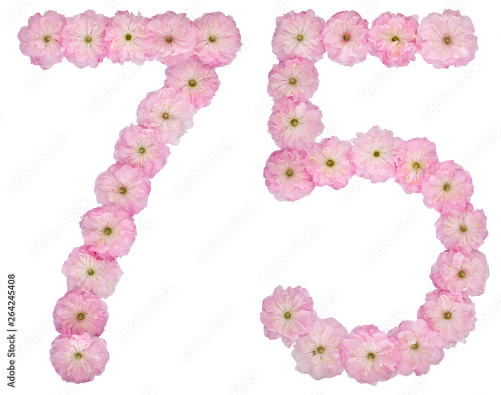 Numeral 75, seventy five, from natural pink flowers of almond tree, isolated on white background