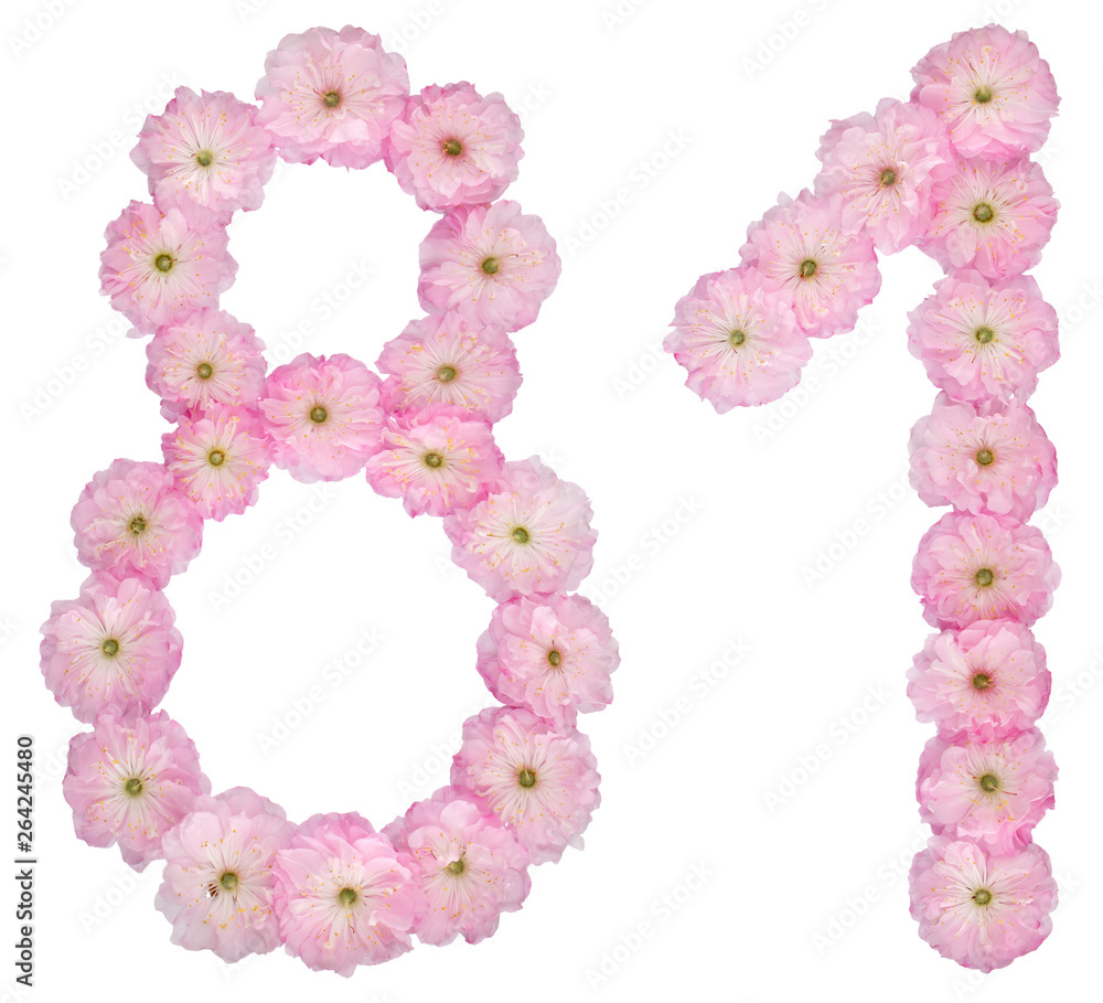 Numeral 81, eighty one, from natural pink flowers of almond tree, isolated on white background