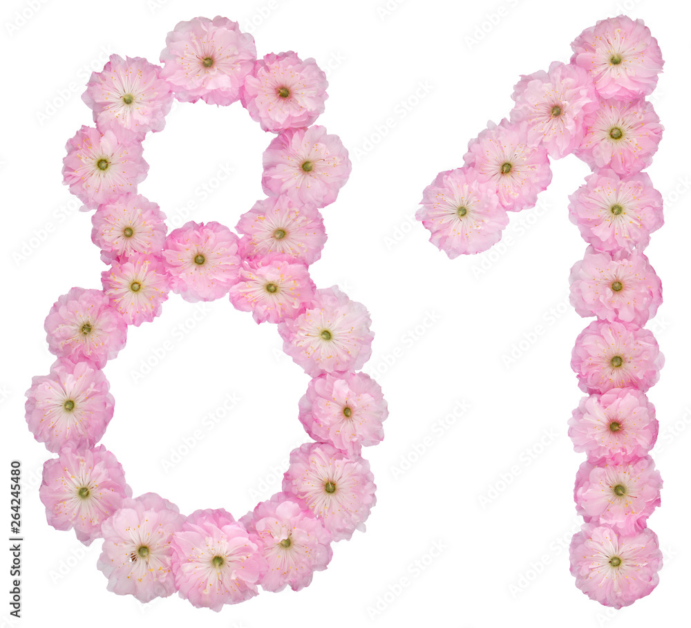 Numeral 81, eighty one, from natural pink flowers of almond tree, isolated on white background Numeral 81, eighty one, from natural pink flowers of almond tree, isolated on white background