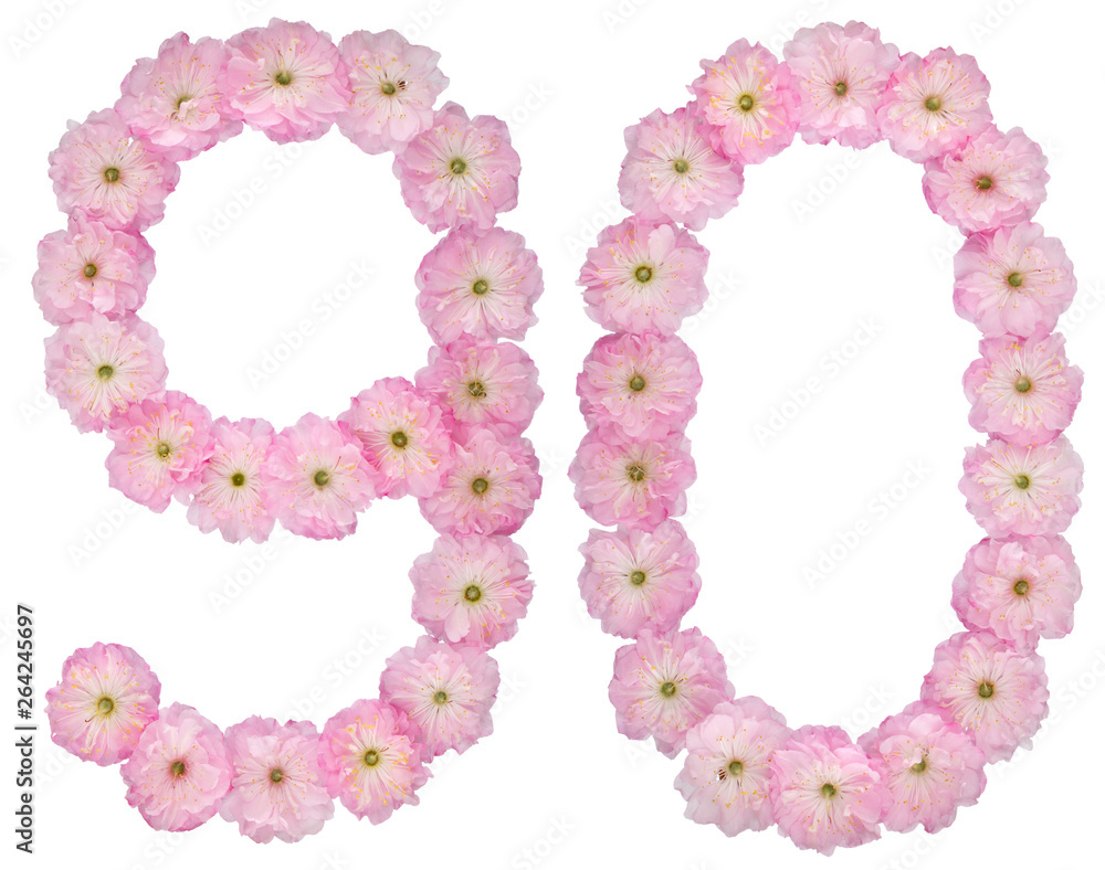 Numeral 90, ninety, from natural pink flowers of almond tree, isolated on white background