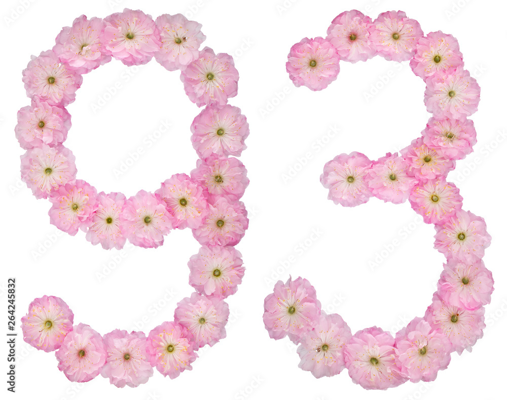 Numeral from 93, ninety three, natural pink flowers of almond tree, isolated on white background