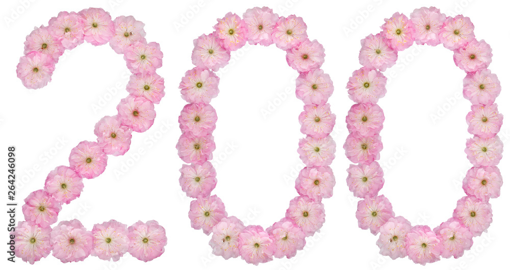 Numeral 200, two hundred, from natural pink flowers of almond tree, isolated on white background Numeral 200, two hundred, from natural pink flowers of almond tree, isolated on white background