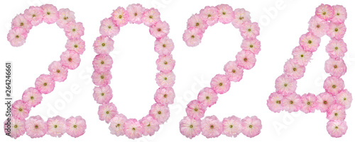 Canvas-taulu Inscription 2024, from natural pink flowers of almond tree, isolated on white ba