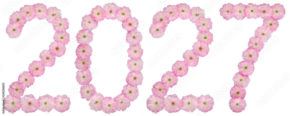 Inscription 2027, from natural pink flowers of almond tree, isolated on white background Inscription 2027, from natural pink flowers of almond tree, isolated on white background