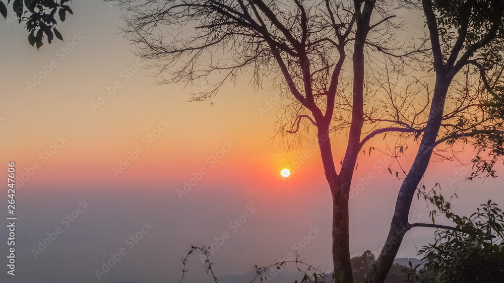 Mountain view morning silhouette of dry tree branches with colorful red sun light in the sky background, sunrise at Kew Lom View Point, Huai Nam Dang National Park, Chiang Mai, Thailand.